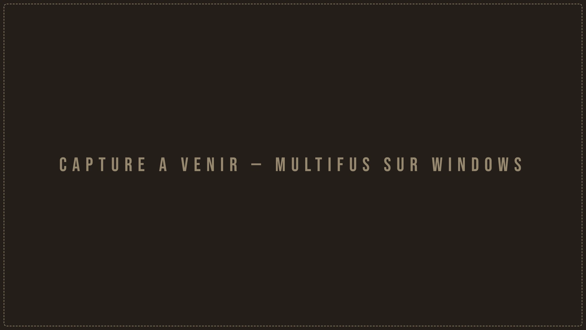 La fenêtre de Multifus sur Windows, par-dessus les clients Dofus Retro, et la barre des tâches avec un bouton par personnage.